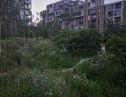 User submitted image of Woodberry Down, N4