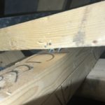User submitted image of The Rise, NE15