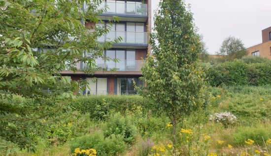 User submitted image of Kidbrooke Village, SE3