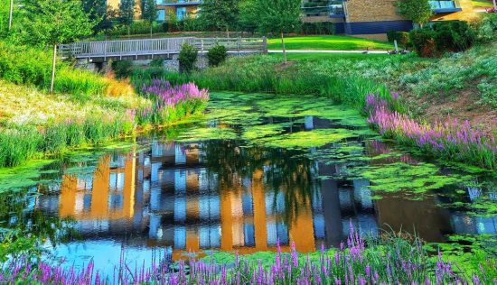 User submitted image of Kidbrooke Village, SE3