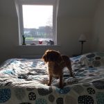 User submitted image of Simple Life at Chase Park, CH65