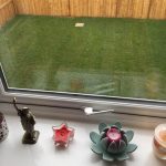 User submitted image of Simple Life at Chase Park, CH65