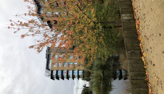 User submitted image of Kidbrooke Village, SE3