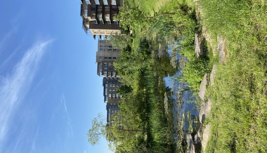 User submitted image of Kidbrooke Village, SE3