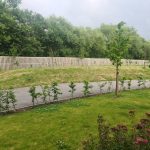 User submitted image of Simple Life at Chase Park, CH65