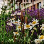 User submitted image of Royal Arsenal Riverside, SE18
