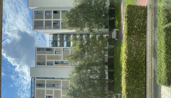 User submitted image of East Village, E20