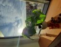 User submitted image of Vantage Point, N19