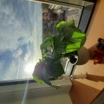 User submitted image of Vantage Point, N19