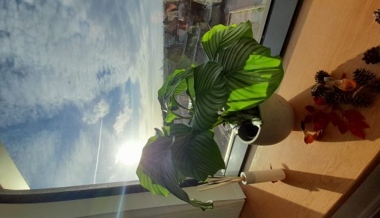 User submitted image of Vantage Point, N19