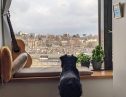 User submitted image of Vantage Point, N19