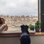 User submitted image of Vantage Point, N19