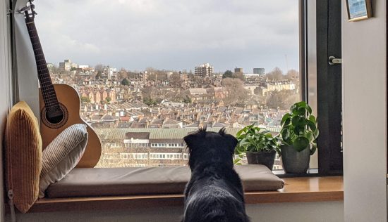 User submitted image of Vantage Point, N19