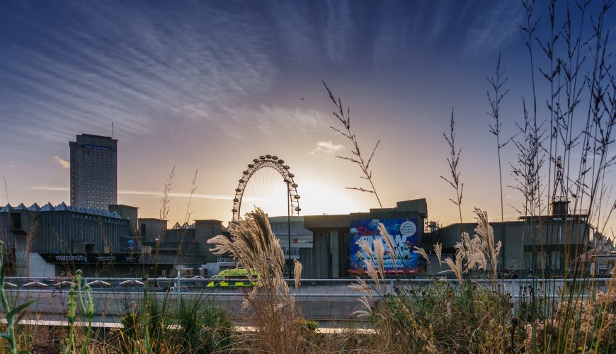 5 best places to live on the South Bank