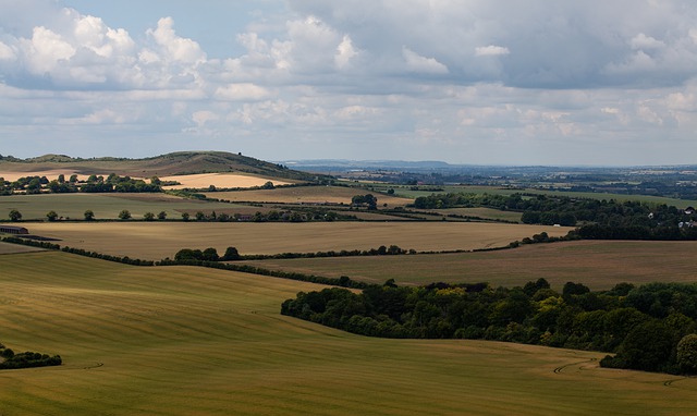 Chiltern Hills in Buckinghamshire