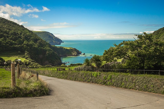 Coast of Devon