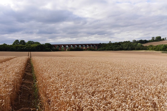 Field in Leicestershire