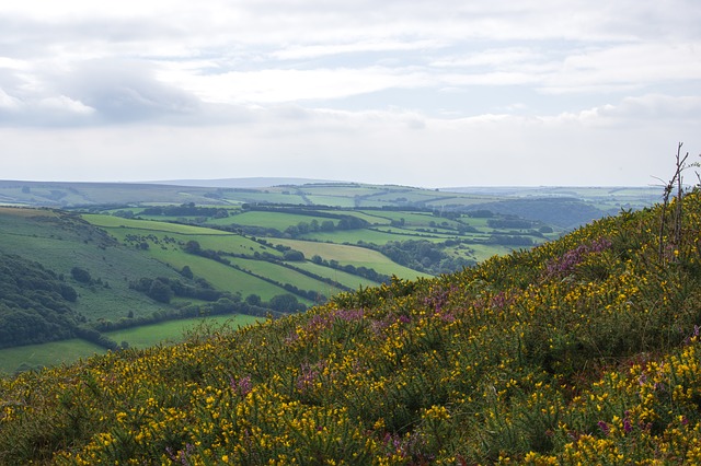 Exmoor in Somerset