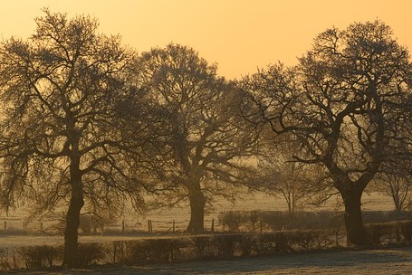 Staffordshire countryside