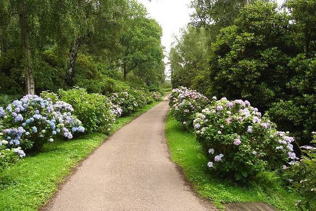 Gardens in Nowrich Norfolk
