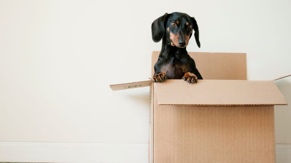 What is an Assured Tenancy? What is an Assured Tenancy?