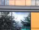 User submitted image of Fizzy Poplar, E14