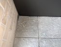 User submitted image of Fizzy East16, E16