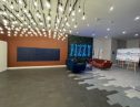 User submitted image of Fizzy East16, E16