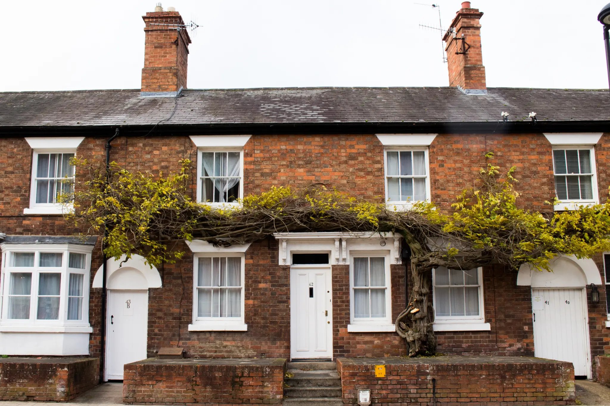 Housing definition. Terraced Houses в Англии. Челмсфорд Англия жилой район. Terraced House перевод. Terraced House meaning.