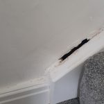 User submitted image of The Grange, S81