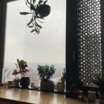 User submitted image of Vantage Point, N19