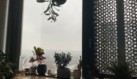 User submitted image of Vantage Point, N19