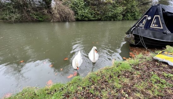 User submitted image of The Lock at Greenford Quay, UB6