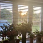 User submitted image of Heath Farm, NR25