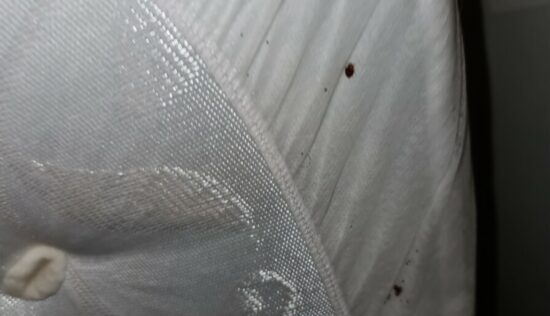 User submitted image of Atrium Point, UB6
