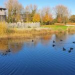 User submitted image of Mosaics, OX3