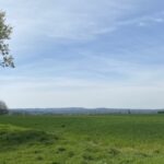 User submitted image of Mosaics, OX3