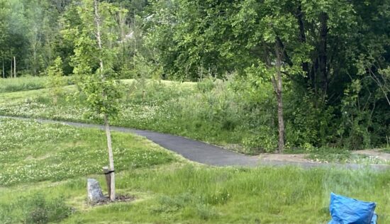 User submitted image of Ymyl Yr Afon, CF48