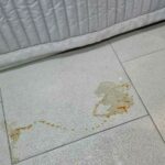 User submitted image of Fizzy Lewisham, SE13