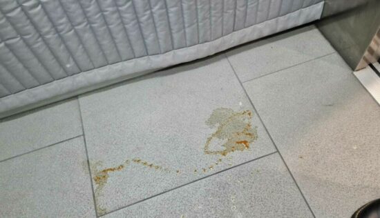 User submitted image of Fizzy Lewisham, SE13