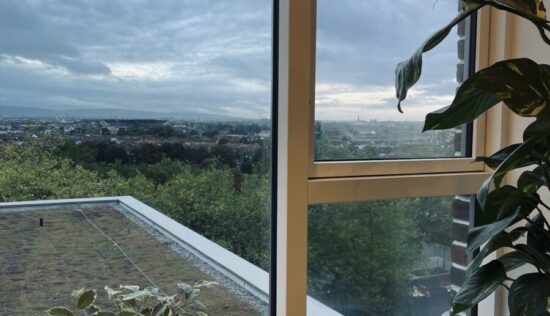 User submitted image of Griffith Wood, Dublin 9