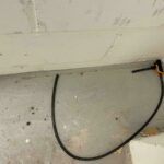 User submitted image of Fizzy Lewisham, SE13