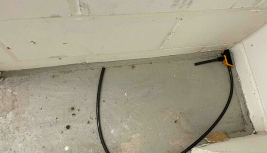 User submitted image of Fizzy Lewisham, SE13