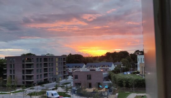 User submitted image of Griffith Wood, Dublin 9