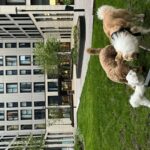 User submitted image of  New York Square, LS2
