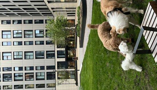 User submitted image of New York Square, LS2