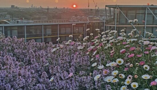 User submitted image of Bloom Nine Elms, SW11
