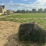 User submitted image of  Hayfield Green, OX29