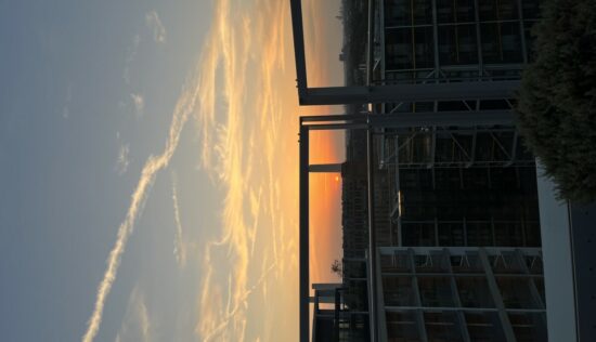 User submitted image of Bloom Nine Elms, SW11