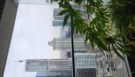 User submitted image of Wardian London, E14